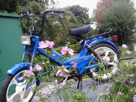 zo op de fotos niet te zien, maar overal roest en beschadigingen